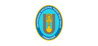 Universidad Nacional Pedro Ruiz Gallo